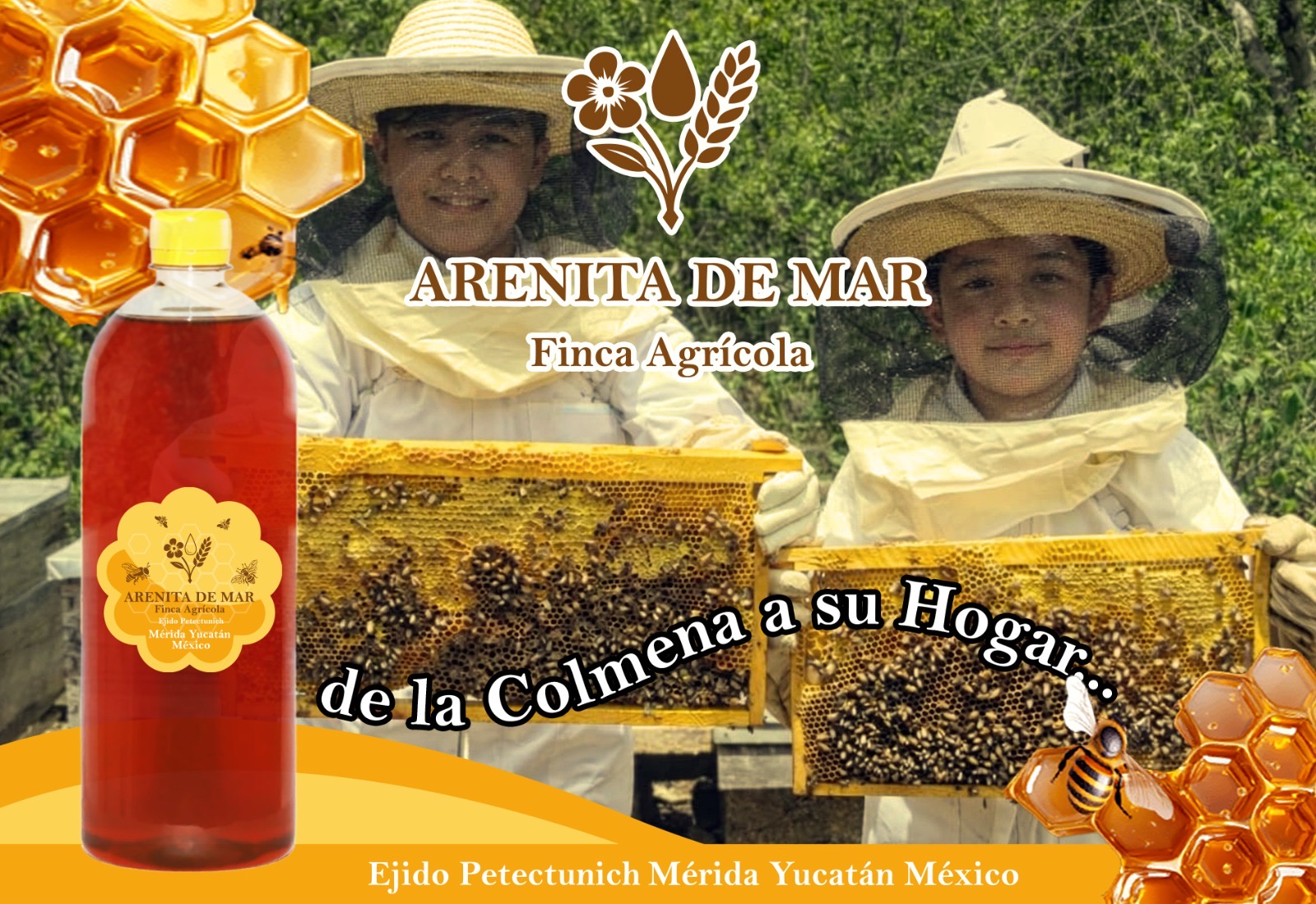 323bafdf-e0a8-4897-90f5-aaeff36de5ae