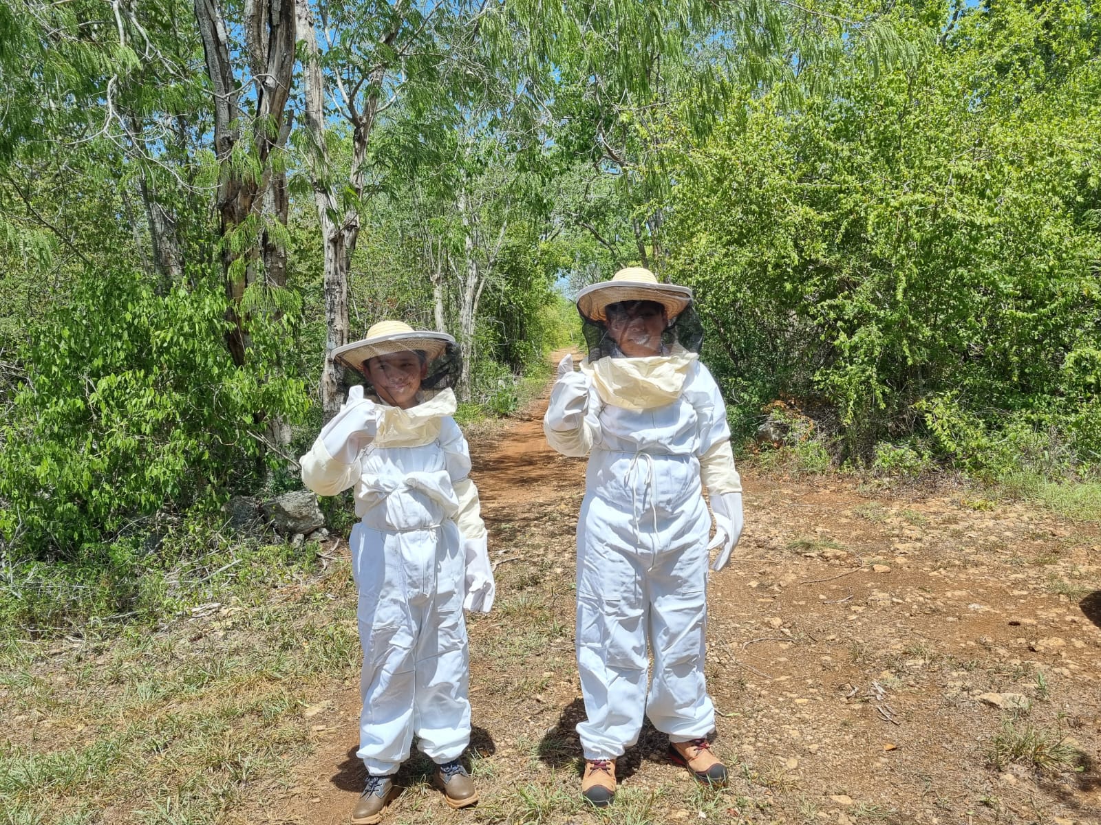 bee-image